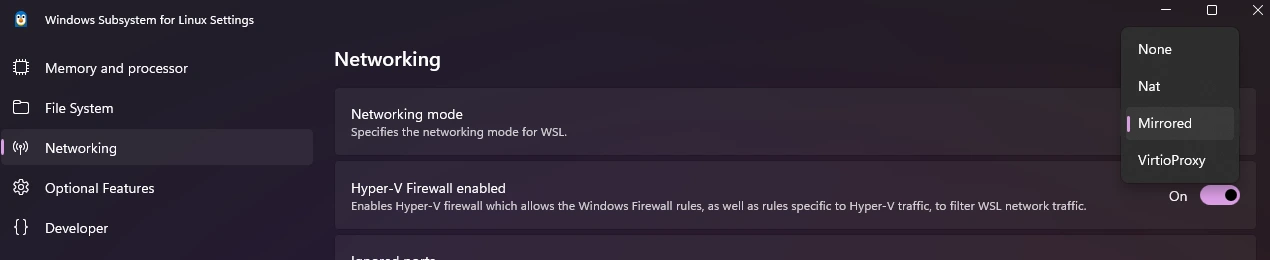 WSL Mirrored Networking Settings