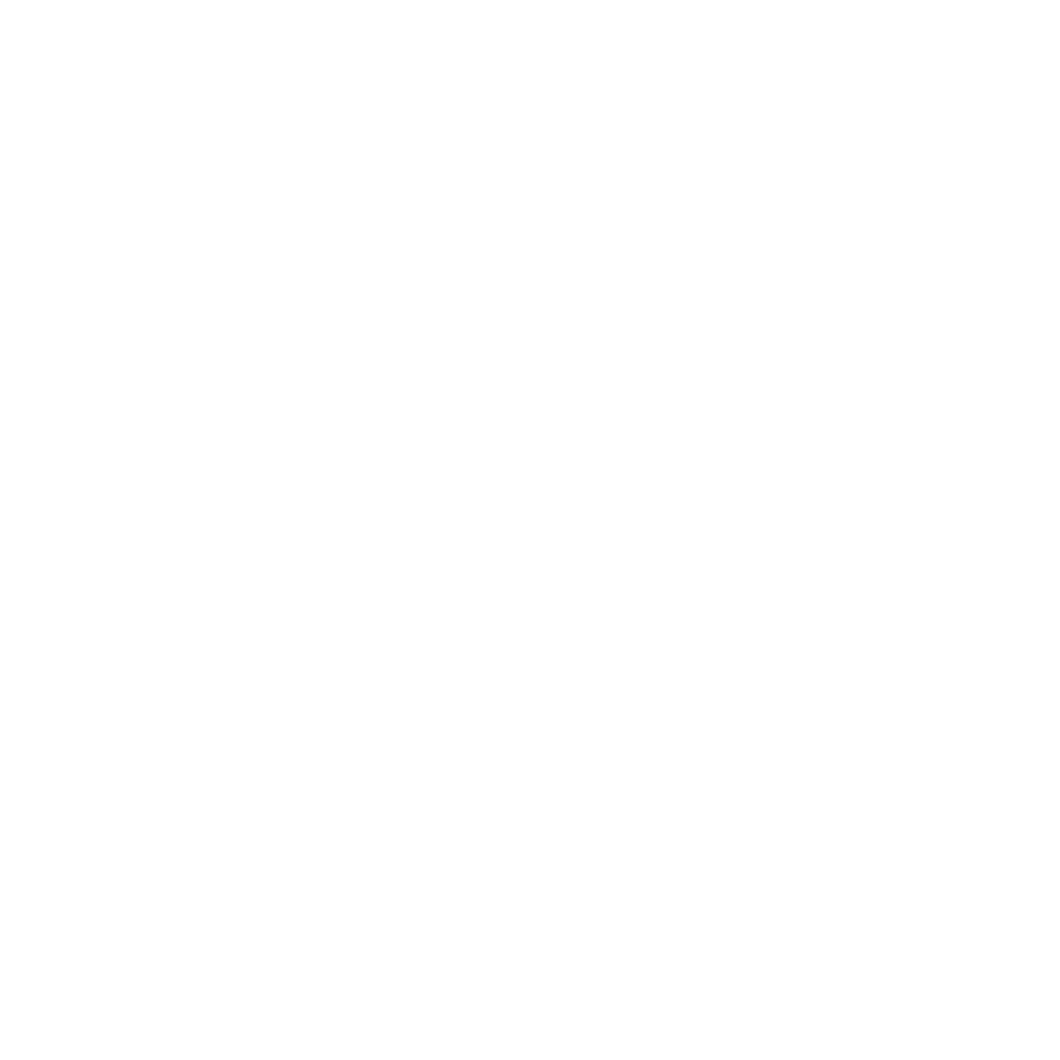 Left rocker arm