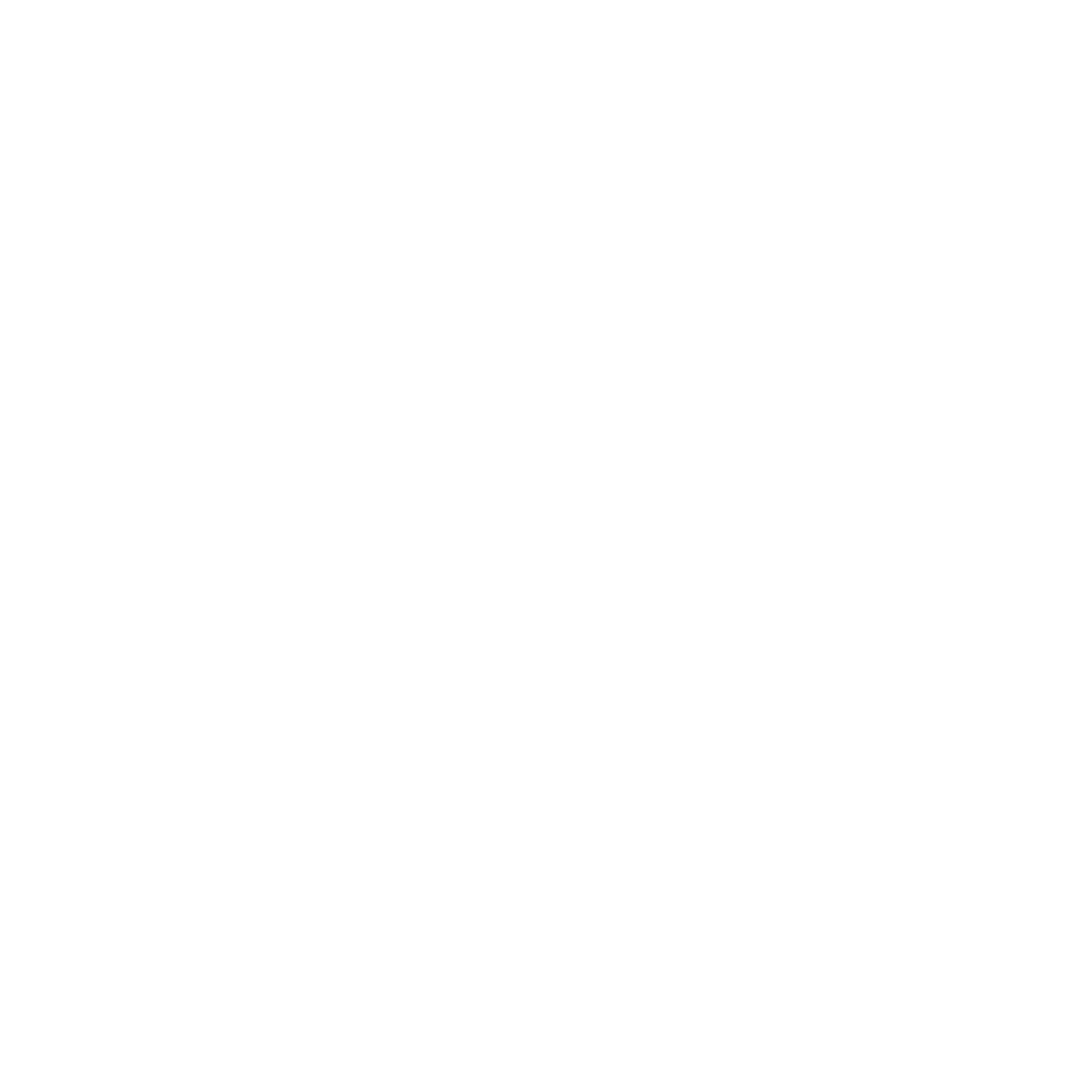 Leo Core