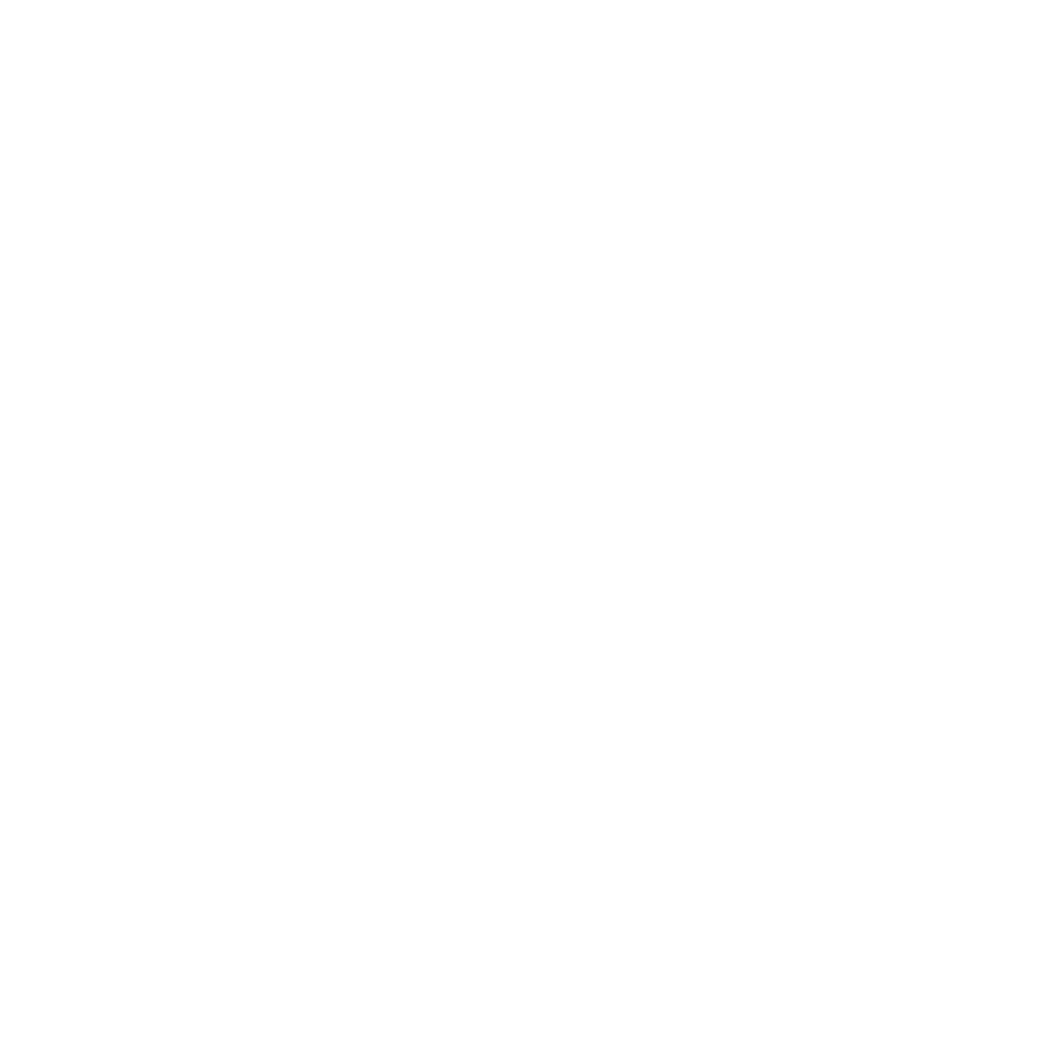 Raspberry pi with camera ribbon