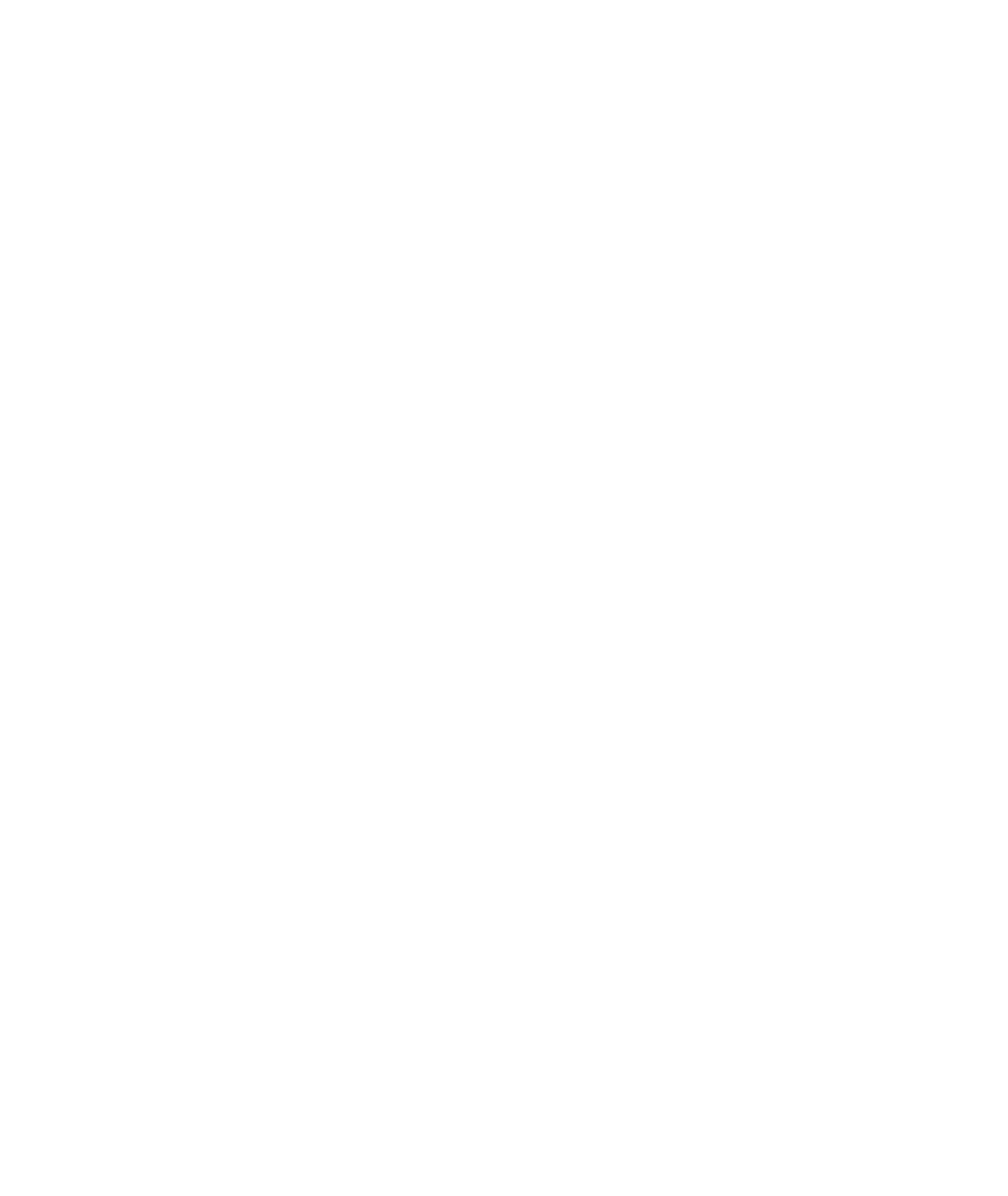 Overview of main features of Rapha Rover