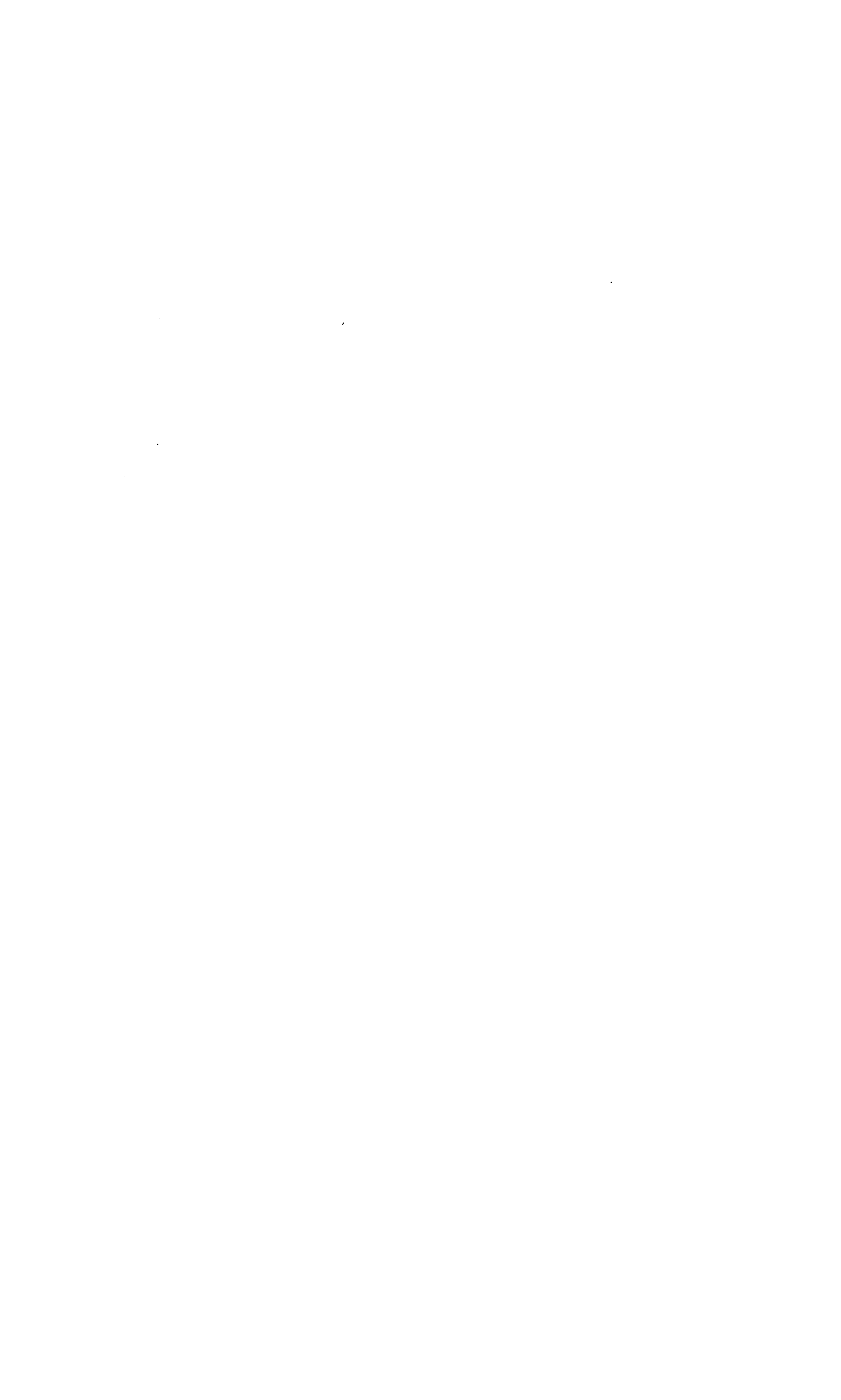 Raph Rover dimensions